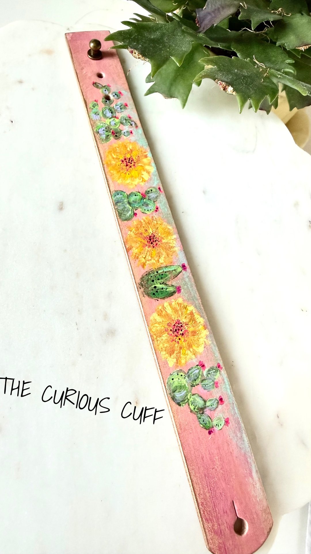 Cactus Blooms & Sunshine